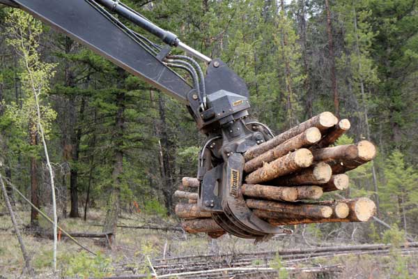 Power-Grapple-photo_02