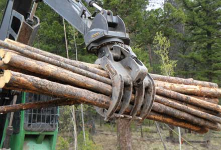 Power-Grapple