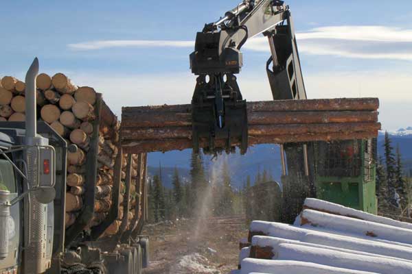 Power-Grapple-photo_03